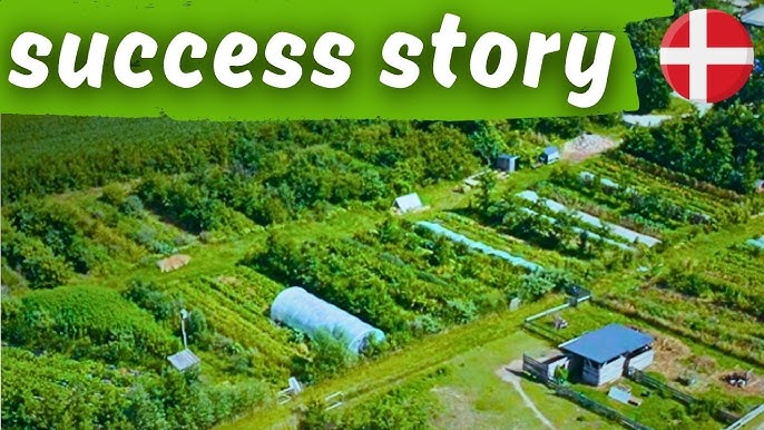 Our Farm